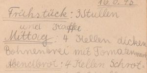 Transcription Result