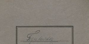 Transcription Result