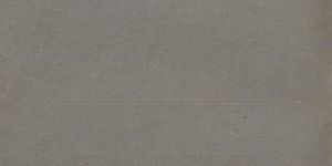 Transcription Result