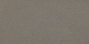 Transcription Result