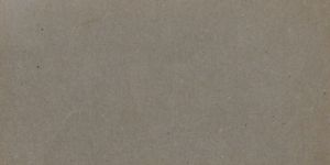 Transcription Result