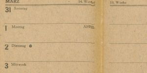 Transcription Result