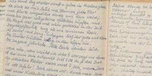 Transcription Result