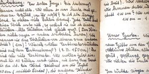 Transcription Result