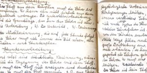 Transcription Result