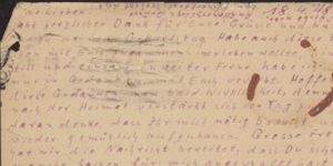 Transcription Result